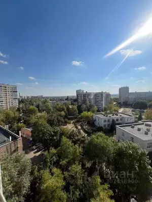 Фото к объявлению #21090396