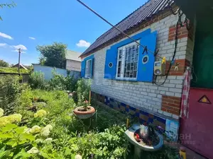 Фото к объявлению #22150335