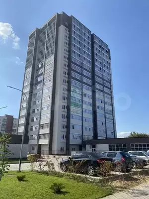 Фото к объявлению #21021933