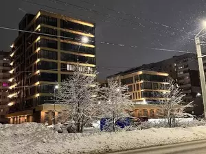 Фото к объявлению #22279581