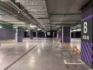 Фото к объявлению #19846649