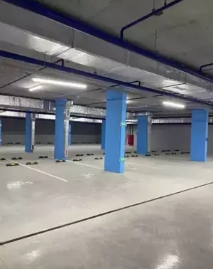 Фото к объявлению #21069131