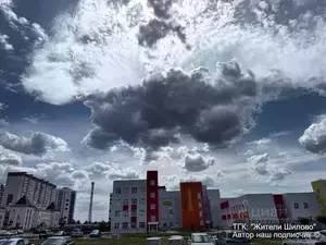 Фото к объявлению #22059885