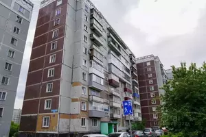 Фото к объявлению #21724445