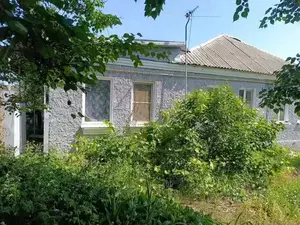 Фото к объявлению #22187254