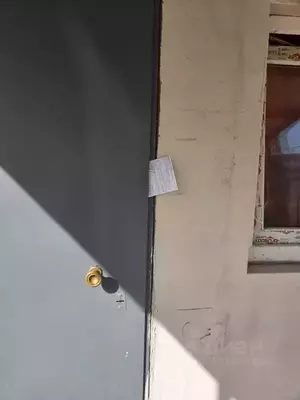 Фото к объявлению #22160489