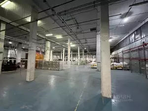 Фото к объявлению #21068414