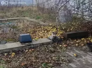 Фото к объявлению #22261178