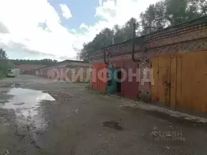 Фото к объявлению #22089227