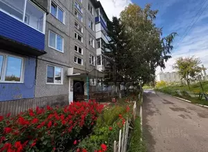 Фото к объявлению #22177559