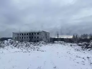 Фото к объявлению #21971218