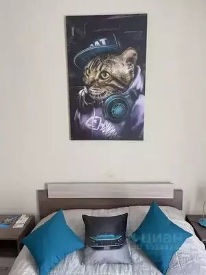 Фото к объявлению #20767168