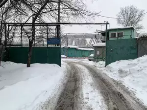 Фото к объявлению #22260941