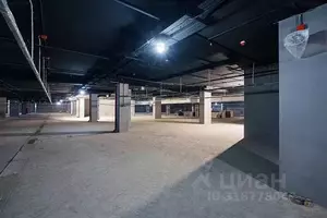 Фото к объявлению #22059860