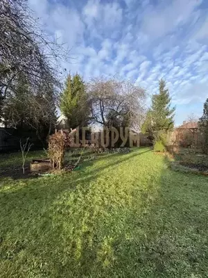 Фото к объявлению #22224436