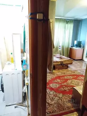 Фото к объявлению #22266691