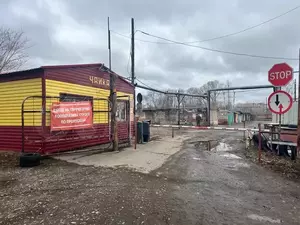 Фото к объявлению #22019933