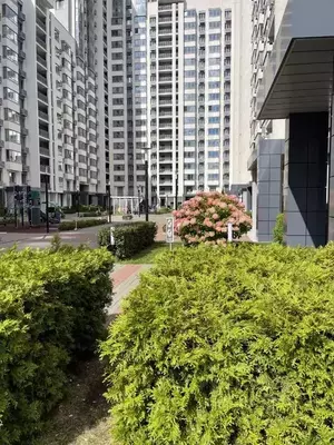 Фото к объявлению #22222322