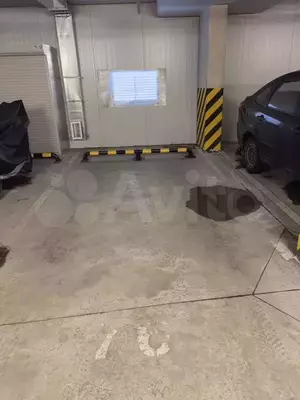 Фото к объявлению #22025830