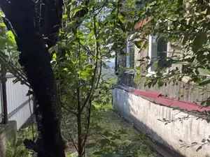 Фото к объявлению #20758745