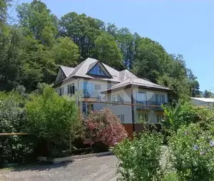 Фото к объявлению #22212797