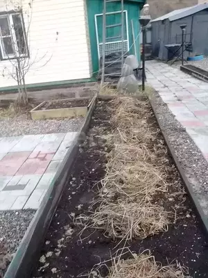 Фото к объявлению #20261579