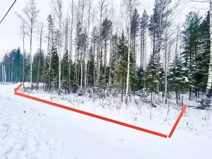 Фото к объявлению #22281982