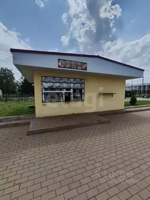 Фото к объявлению #22212100