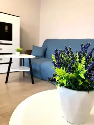 Фото к объявлению #20375132