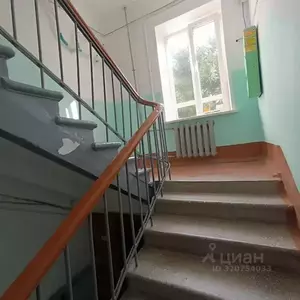 Фото к объявлению #22131191