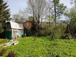 Фото к объявлению #22193819