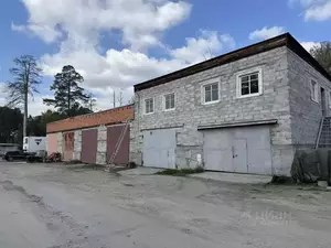 Фото к объявлению #22259160