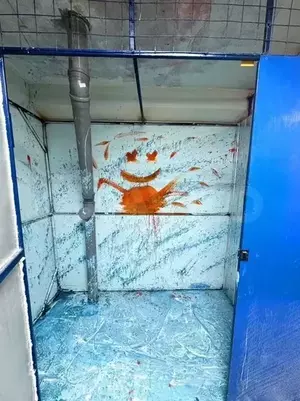 Фото к объявлению #20752067