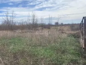 Фото к объявлению #22261674