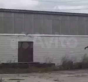 Фото к объявлению #22053407