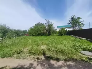 Фото к объявлению #22182771