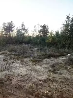 Фото к объявлению #22209124