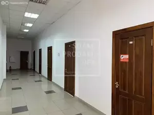 Фото к объявлению #21568270