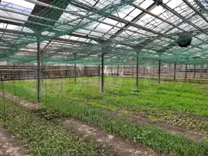 Фото к объявлению #21153798