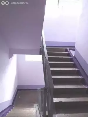 Фото к объявлению #20986286