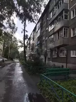 Фото к объявлению #21007706