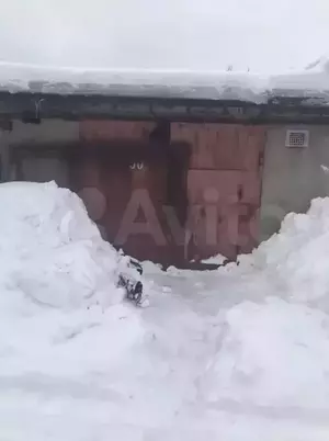 Фото к объявлению #21117252