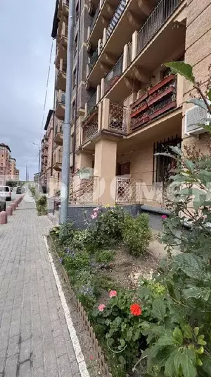 Фото к объявлению #22216860