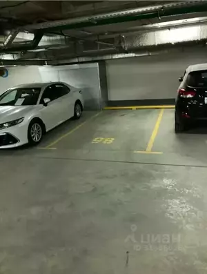 Фото к объявлению #22020662