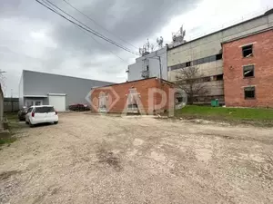 Фото к объявлению #22221188