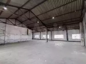 Фото к объявлению #20939218