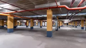 Фото к объявлению #22241195