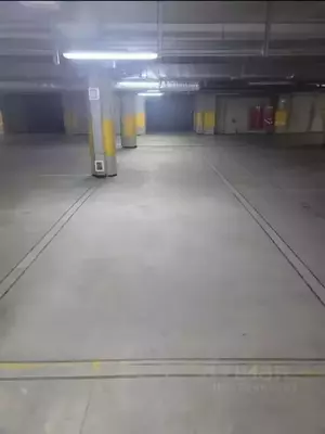 Фото к объявлению #22197474