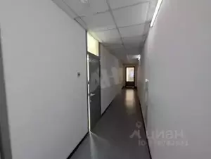 Фото к объявлению #22059317