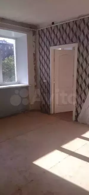 Фото к объявлению #21024979